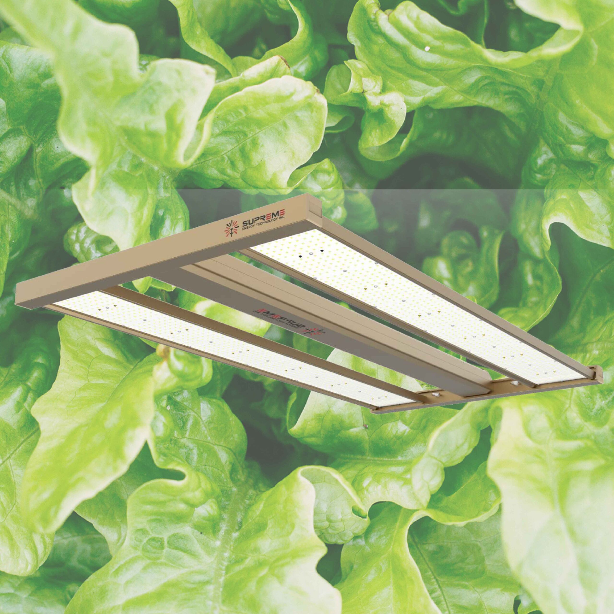 S520 Golden Grow Light