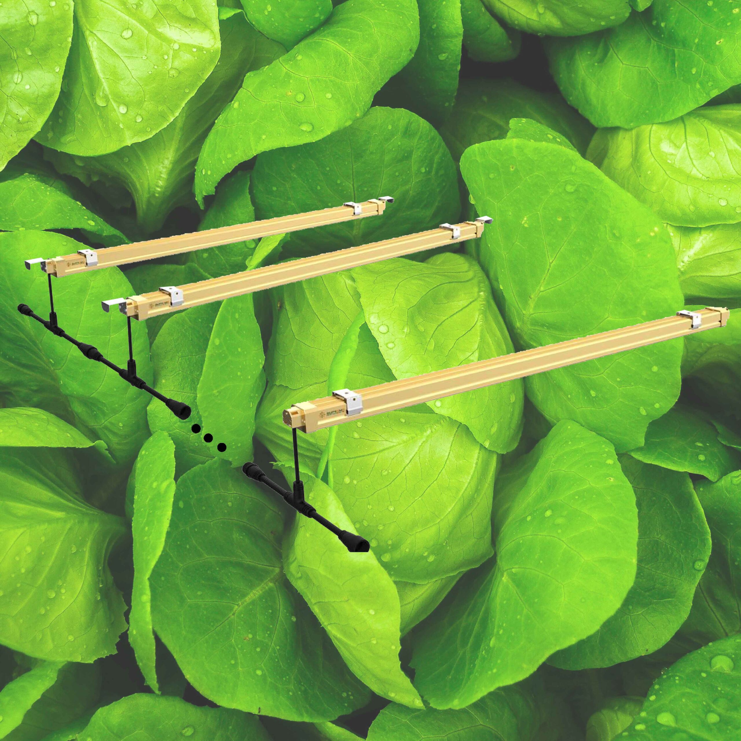 UV-R Grow Light